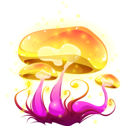 champignon doré