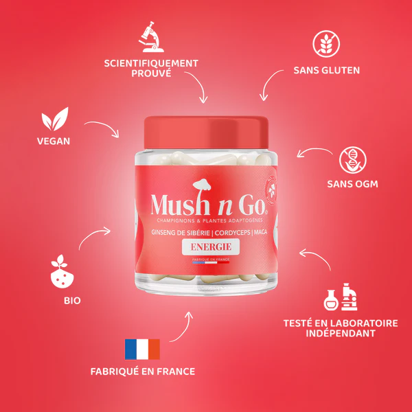 mushngo energie cordyceps