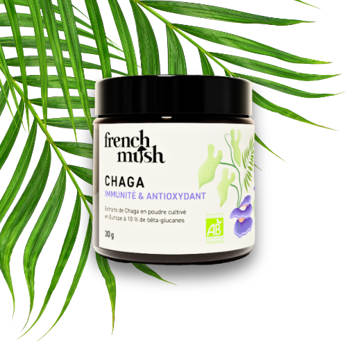poudre de chaga french mush